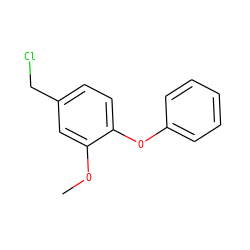 COc1cc(CCl)ccc1Oc1ccccc1 ZINC000028869372