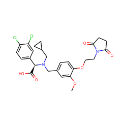 COc1cc(CN(CC2CC2)[C@@H](C(=O)O)c2ccc(Cl)c(Cl)c2)ccc1OCCN1C(=O)CCC1=O ZINC000207212841