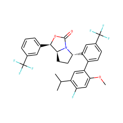COc1cc(F)c(C(C)C)cc1-c1ccc(C(F)(F)F)cc1[C@@H]1CC[C@H]2[C@@H](c3cccc(C(F)(F)F)c3)OC(=O)N12 ZINC000169709056
