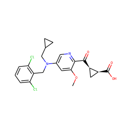 COc1cc(N(Cc2c(Cl)cccc2Cl)CC2CC2)cnc1C(=O)[C@@H]1C[C@@H]1C(=O)O ZINC001772653504