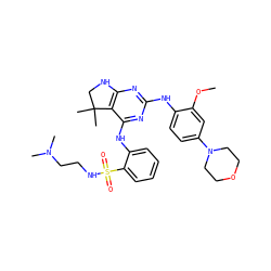COc1cc(N2CCOCC2)ccc1Nc1nc2c(c(Nc3ccccc3S(=O)(=O)NCCN(C)C)n1)C(C)(C)CN2 ZINC000221646802