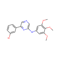 COc1cc(Nc2cncc(-c3cccc(O)c3)n2)cc(OC)c1OC ZINC000035900228