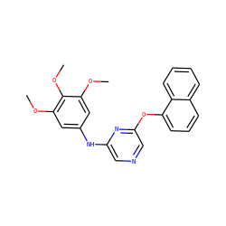 COc1cc(Nc2cncc(Oc3cccc4ccccc34)n2)cc(OC)c1OC ZINC000040412825