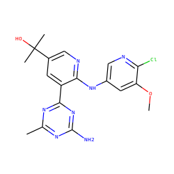 COc1cc(Nc2ncc(C(C)(C)O)cc2-c2nc(C)nc(N)n2)cnc1Cl ZINC000113236205
