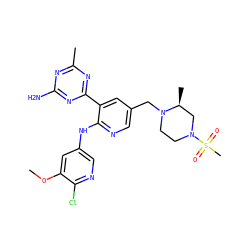 COc1cc(Nc2ncc(CN3CCN(S(C)(=O)=O)C[C@@H]3C)cc2-c2nc(C)nc(N)n2)cnc1Cl ZINC000113154881