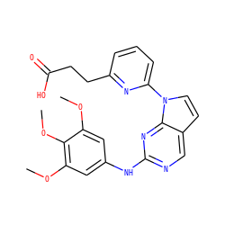 COc1cc(Nc2ncc3ccn(-c4cccc(CCC(=O)O)n4)c3n2)cc(OC)c1OC ZINC000036348791