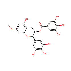 COc1cc(O)c2c(c1)O[C@H](c1cc(O)c(O)c(O)c1)[C@H](OC(=O)c1cc(O)c(O)c(O)c1)C2 ZINC000199073834