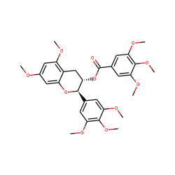 COc1cc(OC)c2c(c1)O[C@H](c1cc(OC)c(OC)c(OC)c1)[C@@H](OC(=O)c1cc(OC)c(OC)c(OC)c1)C2 ZINC000106356064