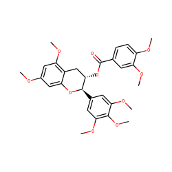 COc1cc(OC)c2c(c1)O[C@H](c1cc(OC)c(OC)c(OC)c1)[C@@H](OC(=O)c1ccc(OC)c(OC)c1)C2 ZINC000200350162