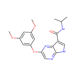 COc1cc(OC)cc(Oc2cnc3[nH]cc(C(=O)NC(C)C)c3n2)c1 ZINC000096269464
