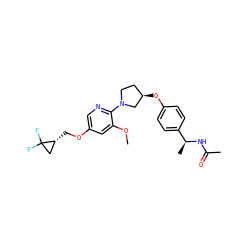 COc1cc(OC[C@@H]2CC2(F)F)cnc1N1CC[C@@H](Oc2ccc([C@H](C)NC(C)=O)cc2)C1 ZINC000169709304