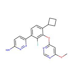 COc1cc(Oc2c(C3CCC3)ccc(-c3ccc(N)nn3)c2F)ncn1 ZINC000224559745