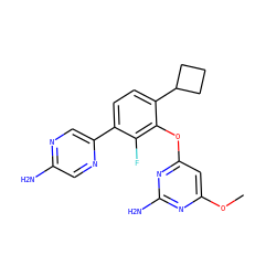 COc1cc(Oc2c(C3CCC3)ccc(-c3cnc(N)cn3)c2F)nc(N)n1 ZINC000224560303