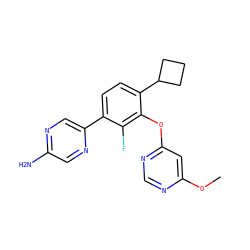COc1cc(Oc2c(C3CCC3)ccc(-c3cnc(N)cn3)c2F)ncn1 ZINC000224567187