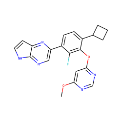 COc1cc(Oc2c(C3CCC3)ccc(-c3cnc4[nH]ccc4n3)c2F)ncn1 ZINC000224559888