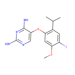 COc1cc(Oc2cnc(N)nc2N)c(C(C)C)cc1I ZINC000040954861