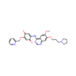 COc1cc2c(NC3=CC(=O)C(OCc4ccccn4)=CC3=O)ncnc2cc1OCCCN1CCCC1 ZINC000101133669