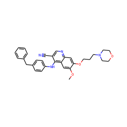 COc1cc2c(Nc3ccc(Cc4ccccc4)cc3)c(C#N)cnc2cc1OCCCN1CCOCC1 ZINC000029212245