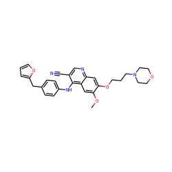 COc1cc2c(Nc3ccc(Cc4ccco4)cc3)c(C#N)cnc2cc1OCCCN1CCOCC1 ZINC000029212149