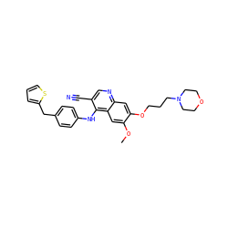 COc1cc2c(Nc3ccc(Cc4cccs4)cc3)c(C#N)cnc2cc1OCCCN1CCOCC1 ZINC000029207791