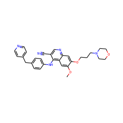 COc1cc2c(Nc3ccc(Cc4ccncc4)cc3)c(C#N)cnc2cc1OCCCN1CCOCC1 ZINC000029213904
