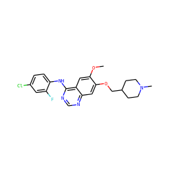 COc1cc2c(Nc3ccc(Cl)cc3F)ncnc2cc1OCC1CCN(C)CC1 ZINC000008662762