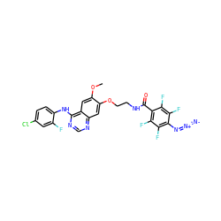 COc1cc2c(Nc3ccc(Cl)cc3F)ncnc2cc1OCCNC(=O)c1c(F)c(F)c(N=[N+]=[N-])c(F)c1F ZINC000028565065