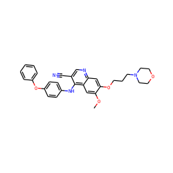COc1cc2c(Nc3ccc(Oc4ccccc4)cc3)c(C#N)cnc2cc1OCCCN1CCOCC1 ZINC000013538438
