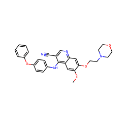 COc1cc2c(Nc3ccc(Oc4ccccc4)cc3)c(C#N)cnc2cc1OCCN1CCOCC1 ZINC000026716427
