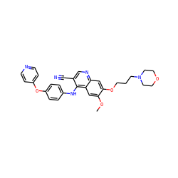 COc1cc2c(Nc3ccc(Oc4ccncc4)cc3)c(C#N)cnc2cc1OCCCN1CCOCC1 ZINC000029209922
