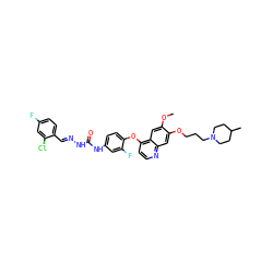 COc1cc2c(Oc3ccc(NC(=O)N/N=C/c4ccc(F)cc4Cl)cc3F)ccnc2cc1OCCCN1CCC(C)CC1 ZINC000205444542