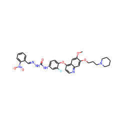 COc1cc2c(Oc3ccc(NC(=O)N/N=C/c4ccccc4[N+](=O)[O-])cc3F)ccnc2cc1OCCCN1CCCCC1 ZINC000096283538