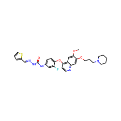 COc1cc2c(Oc3ccc(NC(=O)N/N=C/c4cccs4)cc3F)ccnc2cc1OCCCN1CCCCC1 ZINC000653810962