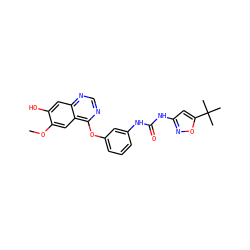 COc1cc2c(Oc3cccc(NC(=O)Nc4cc(C(C)(C)C)on4)c3)ncnc2cc1O ZINC000072178282