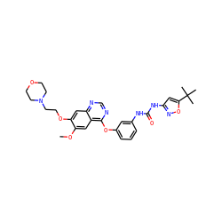 COc1cc2c(Oc3cccc(NC(=O)Nc4cc(C(C)(C)C)on4)c3)ncnc2cc1OCCN1CCOCC1 ZINC000072179942