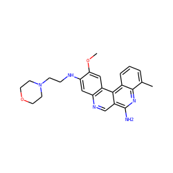 COc1cc2c(cc1NCCN1CCOCC1)ncc1c(N)nc3c(C)cccc3c12 ZINC000028825062
