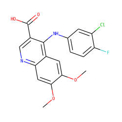 COc1cc2ncc(C(=O)O)c(Nc3ccc(F)c(Cl)c3)c2cc1OC ZINC000082156292