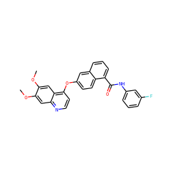 COc1cc2nccc(Oc3ccc4c(C(=O)Nc5cccc(F)c5)cccc4c3)c2cc1OC ZINC000029134310
