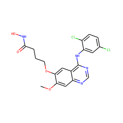 COc1cc2ncnc(Nc3cc(Cl)ccc3Cl)c2cc1OCCCC(=O)NO ZINC000473154922