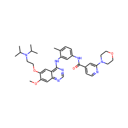 COc1cc2ncnc(Nc3cc(NC(=O)c4ccnc(N5CCOCC5)c4)ccc3C)c2cc1OCCN(C(C)C)C(C)C ZINC000028386378