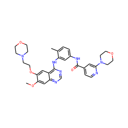 COc1cc2ncnc(Nc3cc(NC(=O)c4ccnc(N5CCOCC5)c4)ccc3C)c2cc1OCCN1CCOCC1 ZINC000028386385