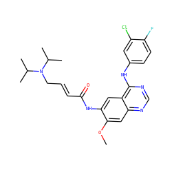 COc1cc2ncnc(Nc3ccc(F)c(Cl)c3)c2cc1NC(=O)/C=C/CN(C(C)C)C(C)C ZINC001772632393
