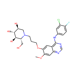 COc1cc2ncnc(Nc3ccc(F)c(Cl)c3)c2cc1OCCCN1C[C@H](O)[C@@H](O)[C@H](O)[C@H]1CO ZINC001772582050