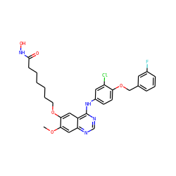 COc1cc2ncnc(Nc3ccc(OCc4cccc(F)c4)c(Cl)c3)c2cc1OCCCCCCC(=O)NO ZINC000049762914
