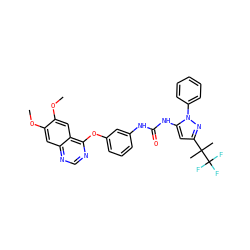 COc1cc2ncnc(Oc3cccc(NC(=O)Nc4cc(C(C)(C)C(F)(F)F)nn4-c4ccccc4)c3)c2cc1OC ZINC000084669783