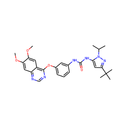 COc1cc2ncnc(Oc3cccc(NC(=O)Nc4cc(C(C)(C)C)nn4C(C)C)c3)c2cc1OC ZINC000084653767