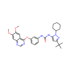 COc1cc2ncnc(Oc3cccc(NC(=O)Nc4cc(C(C)(C)C)nn4C4CCCCC4)c3)c2cc1OC ZINC000084670127