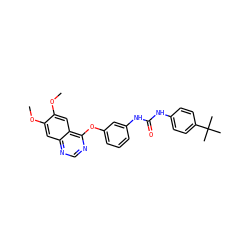 COc1cc2ncnc(Oc3cccc(NC(=O)Nc4ccc(C(C)(C)C)cc4)c3)c2cc1OC ZINC000072181585