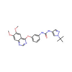 COc1cc2ncnc(Oc3cccc(NC(=O)Nc4cnn(C(C)(C)C)c4)c3)c2cc1OC ZINC000084671318
