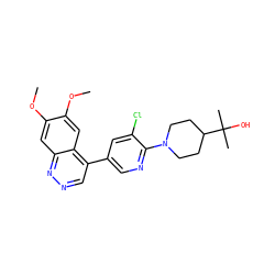 COc1cc2nncc(-c3cnc(N4CCC(C(C)(C)O)CC4)c(Cl)c3)c2cc1OC ZINC000073312243
